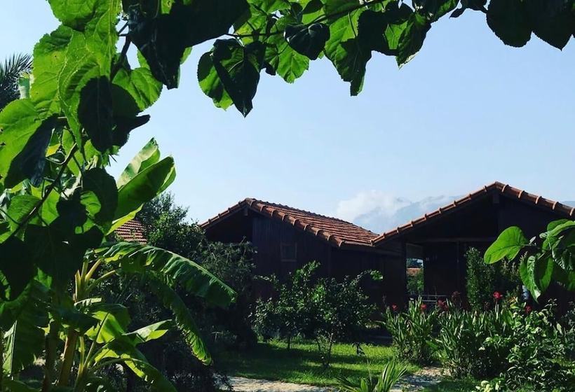 مبيت وإفطار Happy