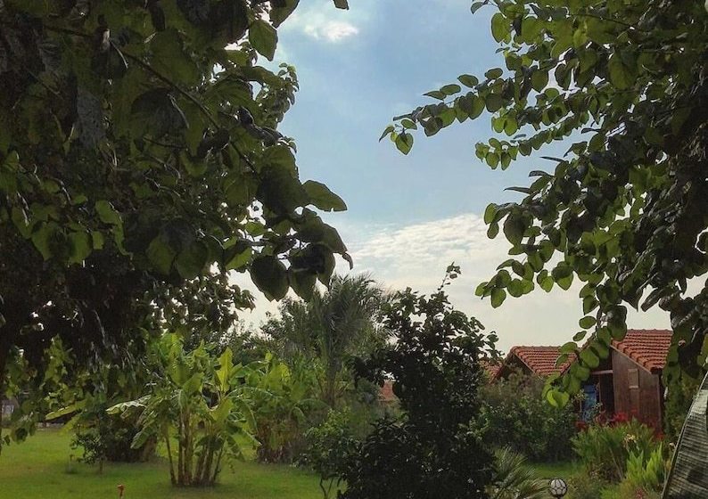 مبيت وإفطار Happy