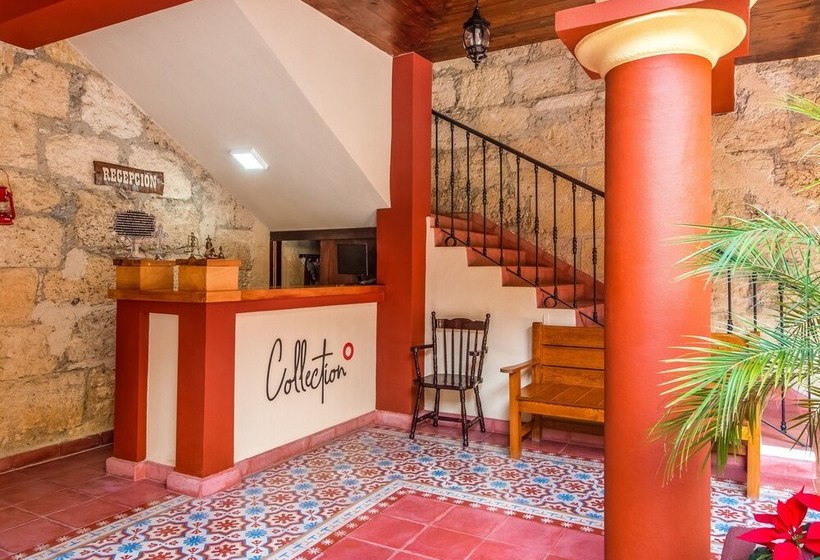 فندق Zapata Y Plaza