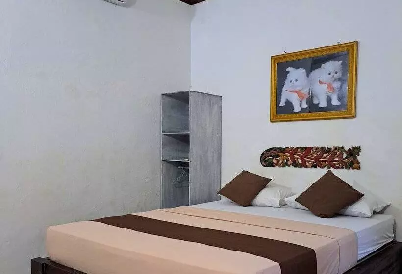 ホテル Cozy Alfia Inn