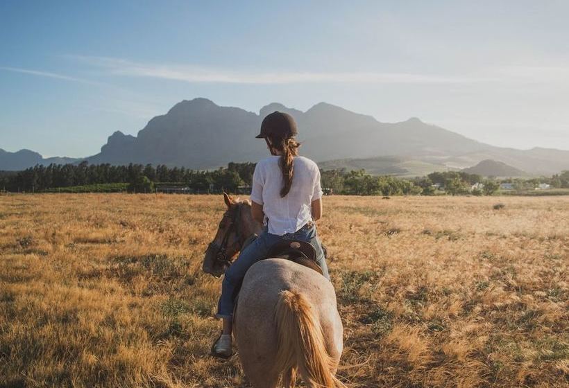 Casa Luna Rural House With Pool & Barbecue