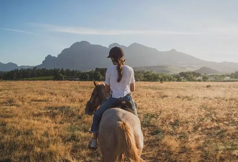 Casa Luna Rural House With Pool & Barbecue