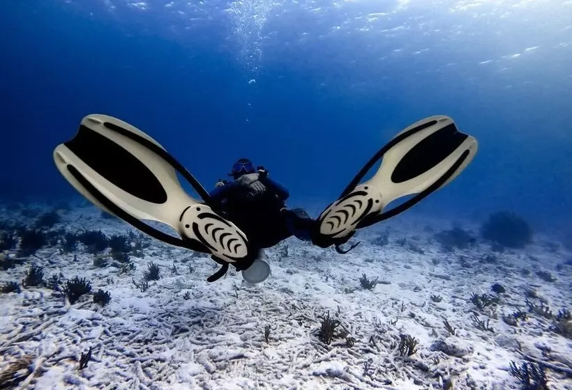 Casa Luna Rural House With Pool & Barbecue