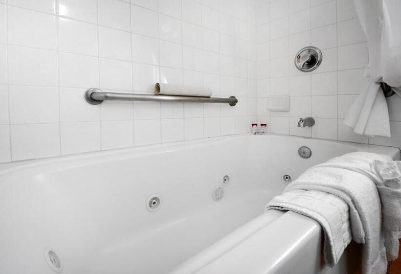 Eureka Town House Motel  Historic Old Town