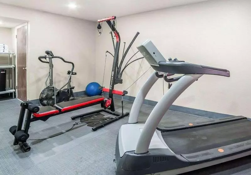 فندق Rodeway Inn & Suites