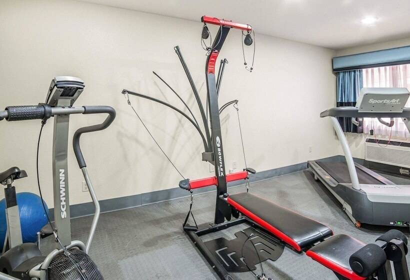 호텔 Rodeway Inn & Suites