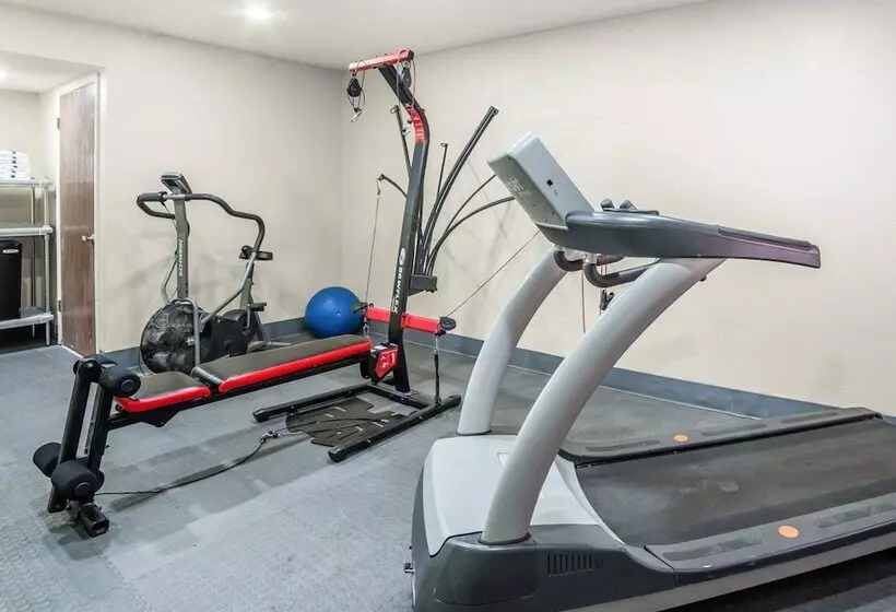 فندق Rodeway Inn & Suites