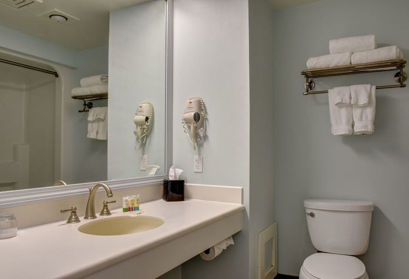 Szálloda Two Trees Inn