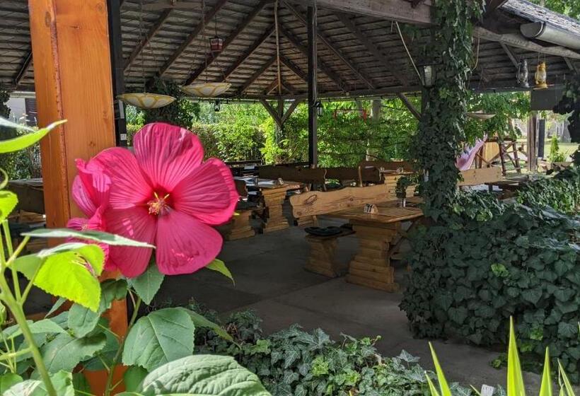 Bed and Breakfast Margaréta étterem és Vendéghàz Gasthaus