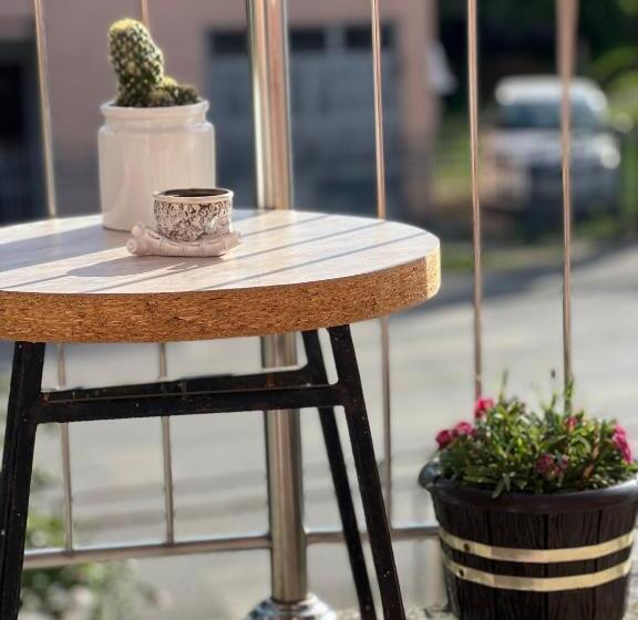 پانسیون Guest House Bosnian House