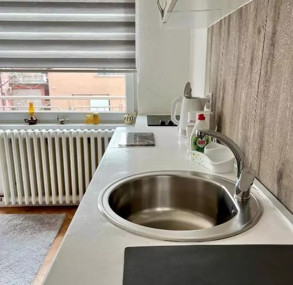 پانسیون Guest House Bosnian House