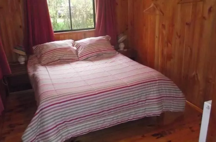 ペンション Hostal Y Cabañas Mozart