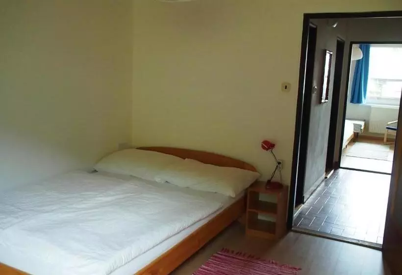 Majatalo Penzion U Sochoru