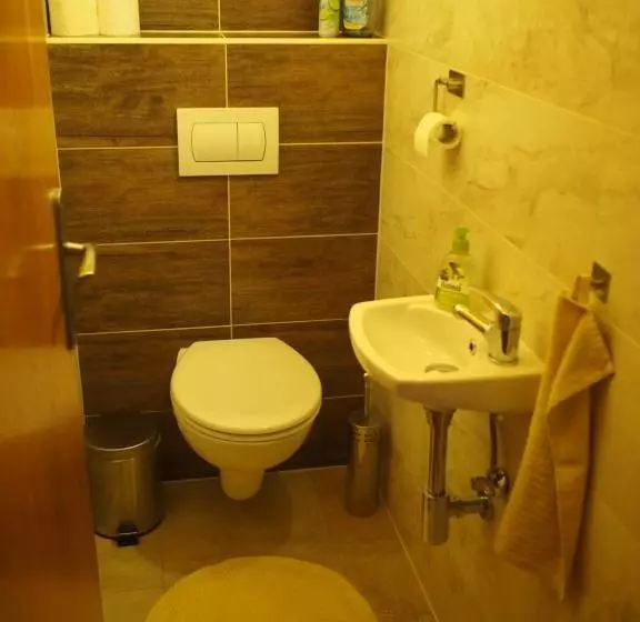 Majatalo Penzion U Sochoru