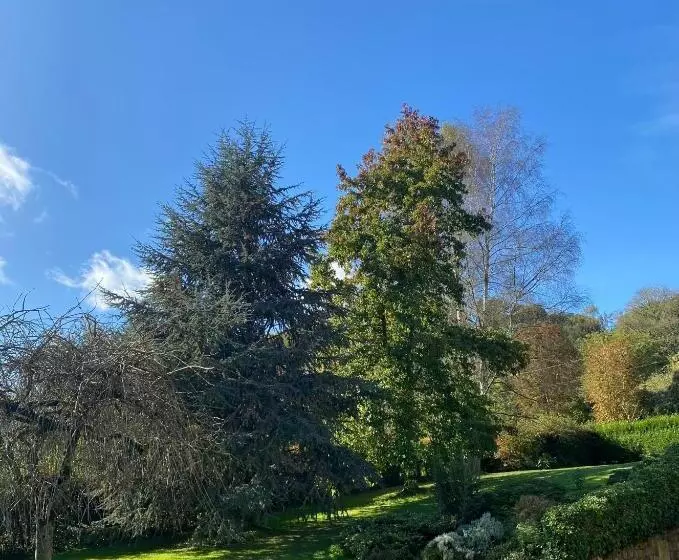 Aamiaismajoitus (B&B) A La Bergerie