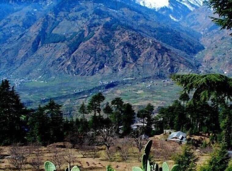 פנסיון The Sonaugi Homestead