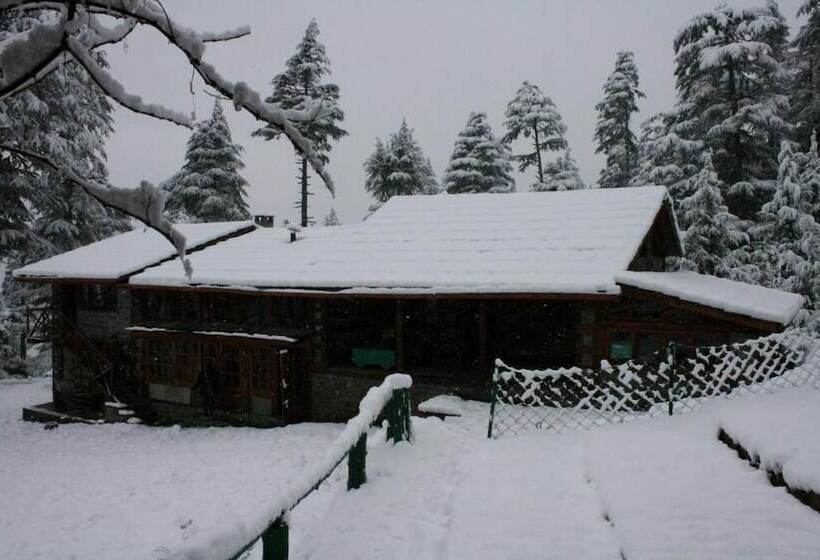 פנסיון The Sonaugi Homestead