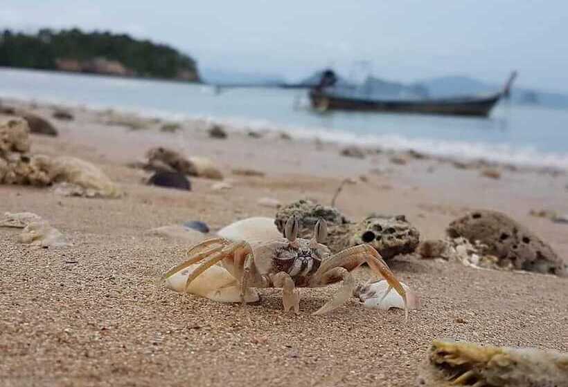 פנסיון Three Monkeys Bungalows Koh Yao Noi