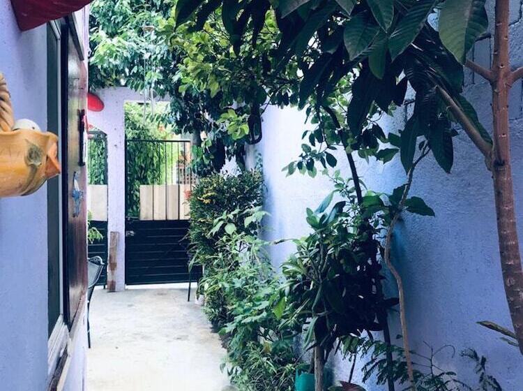 Kaya Hostal Apartments   Hostel