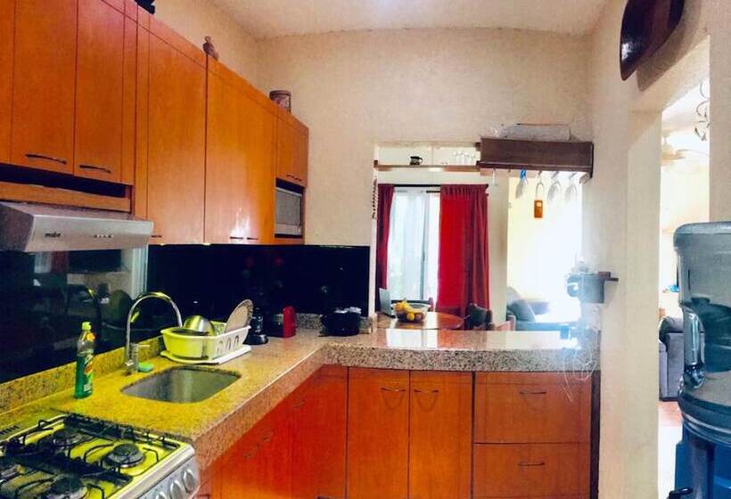 Kaya Hostal Apartments   Hostel