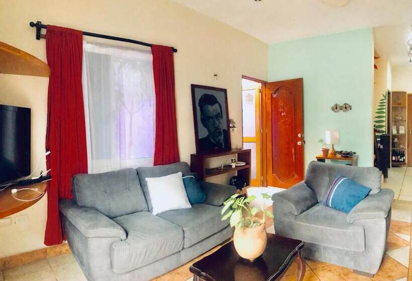 Kaya Hostal Apartments   Hostel