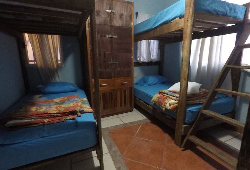 Kaya Hostal Apartments   Hostel