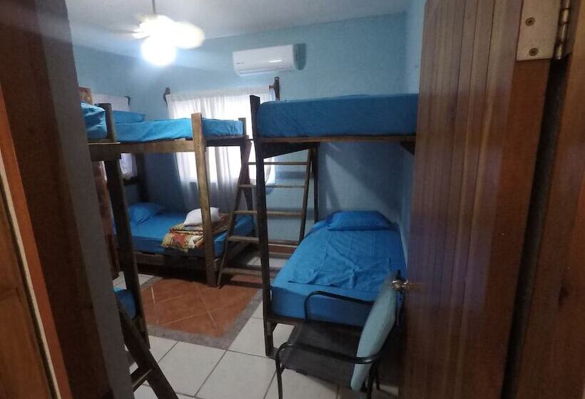Kaya Hostal Apartments   Hostel