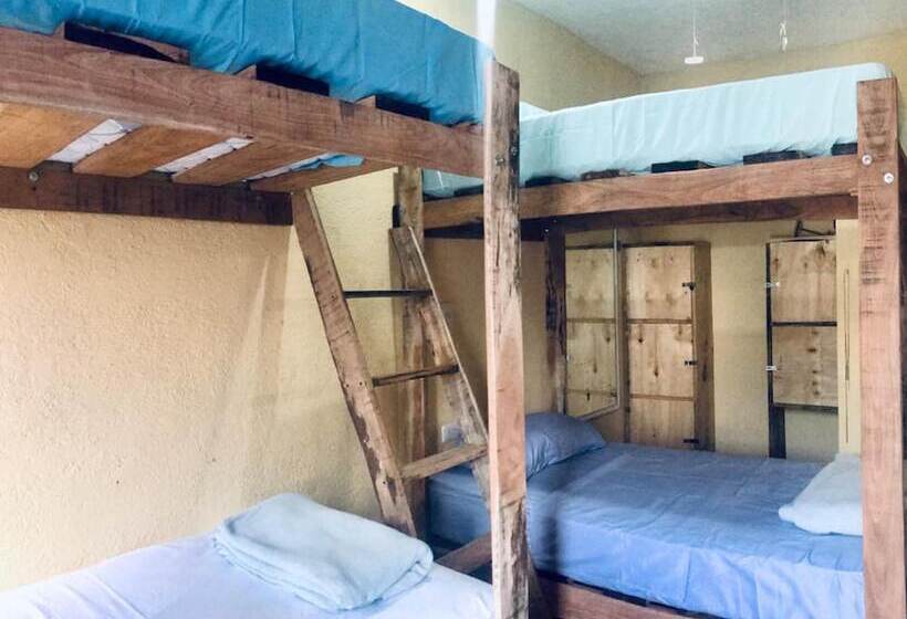 Kaya Hostal Apartments   Hostel