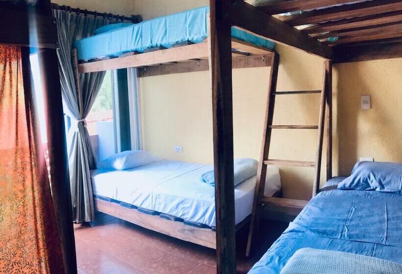 Kaya Hostal Apartments   Hostel