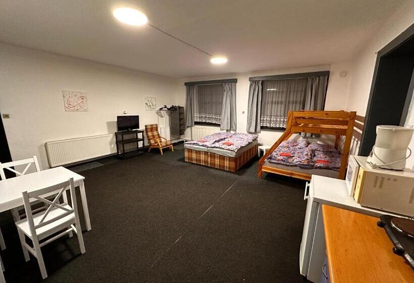 ペンション Penzion Roko