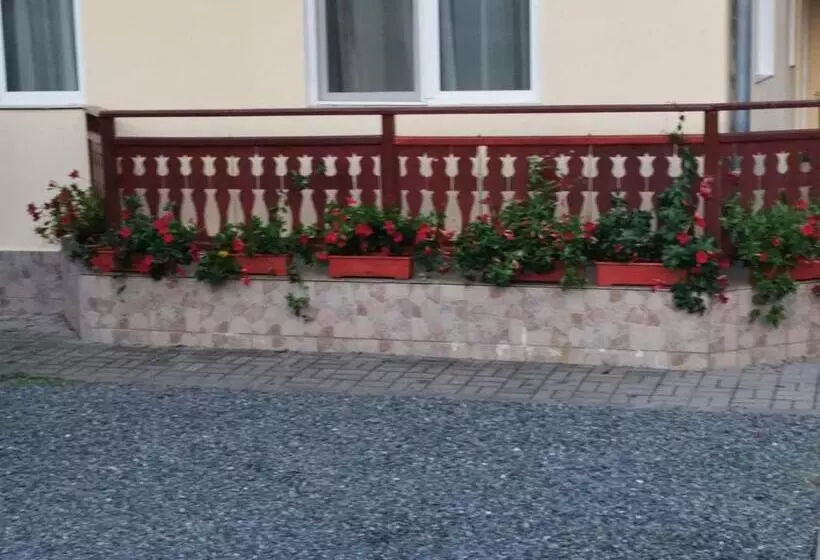 Pensiunea Maria Köber