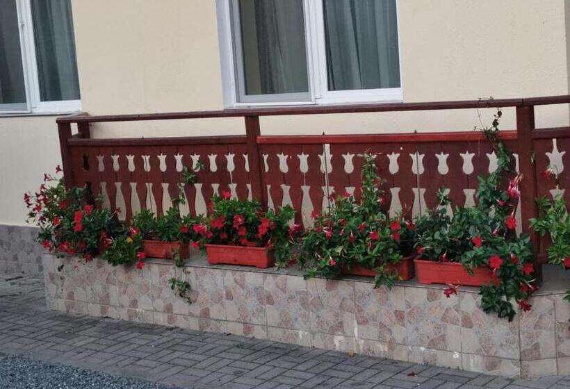 Pensiunea Maria Köber