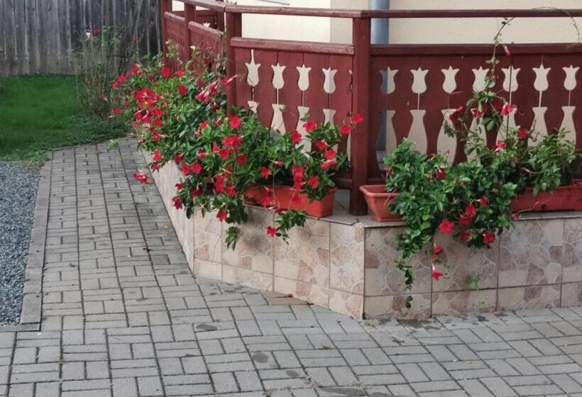 Pensiunea Maria Köber