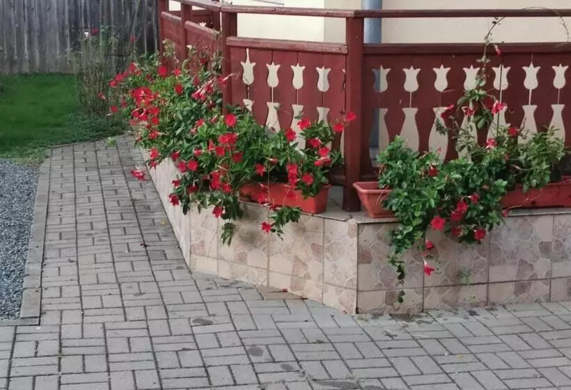 Pensiunea Maria Köber