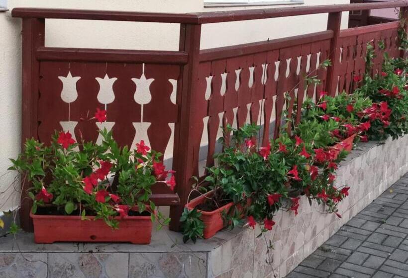 Pensiunea Maria Köber