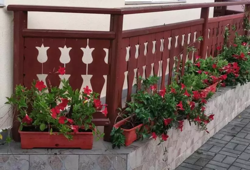 Pensiunea Maria Köber