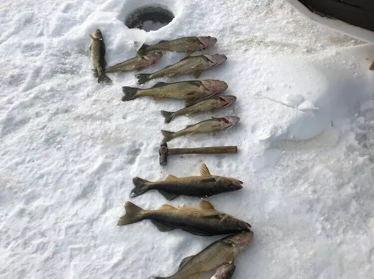 Domaine Des Trois îles