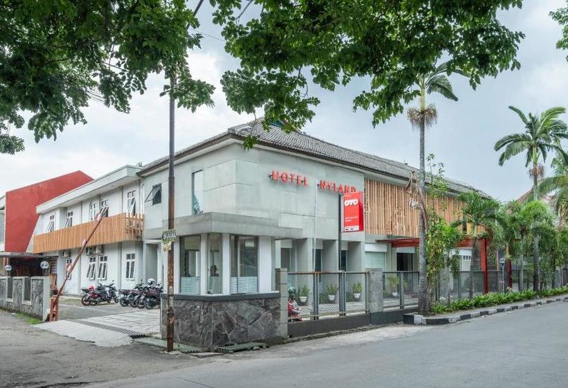 Hotel Nyland Cijagra