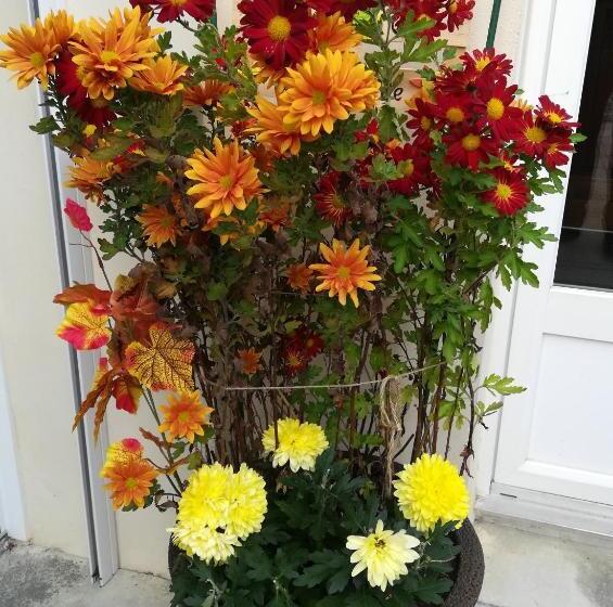 住宿加早餐 Le Coq En Pâte