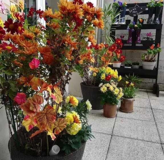 ベッドアンドブレックファースト Le Coq En Pâte