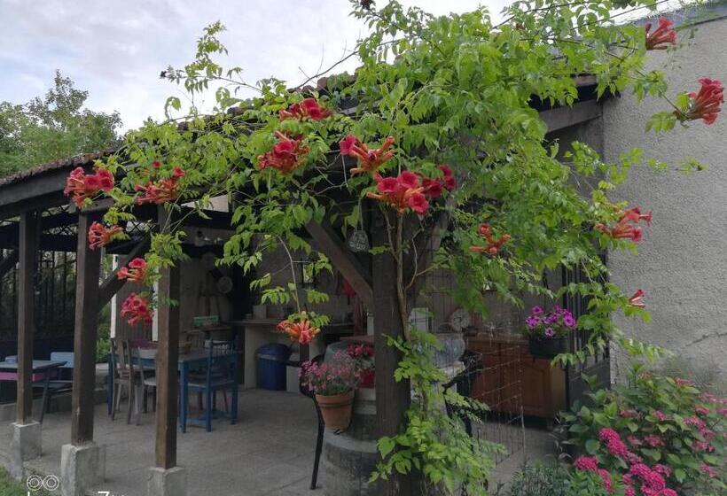 住宿加早餐 Le Coq En Pâte