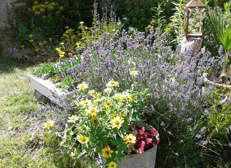 住宿加早餐 Le Coq En Pâte