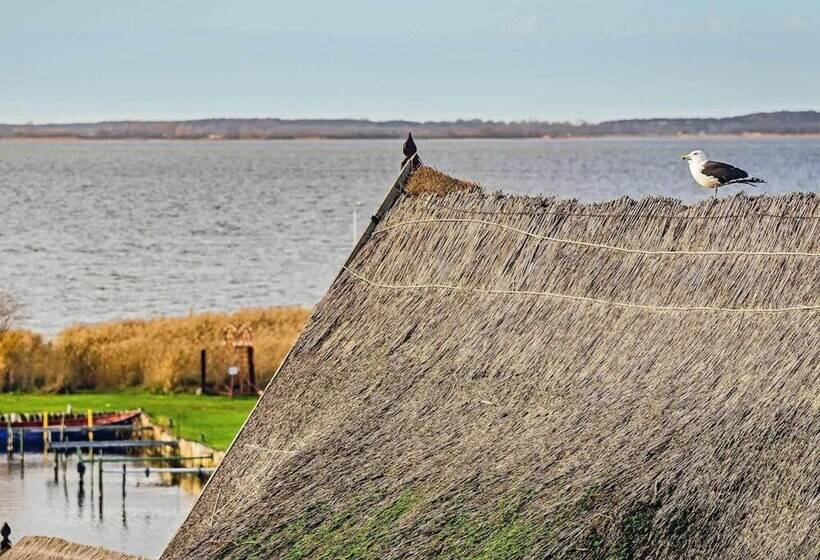 Aquarius Ferienwohnung Usedom