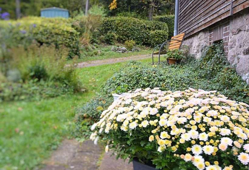Modern Apartment With Sauna In Zellamehlis