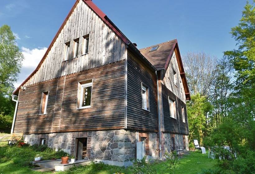 Modern Apartment With Sauna In Zellamehlis