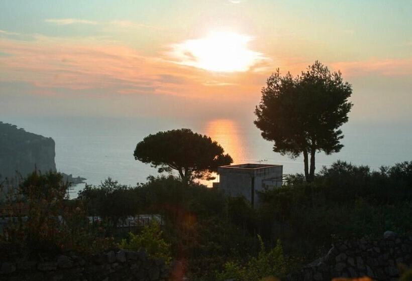 צימר Villa Prota