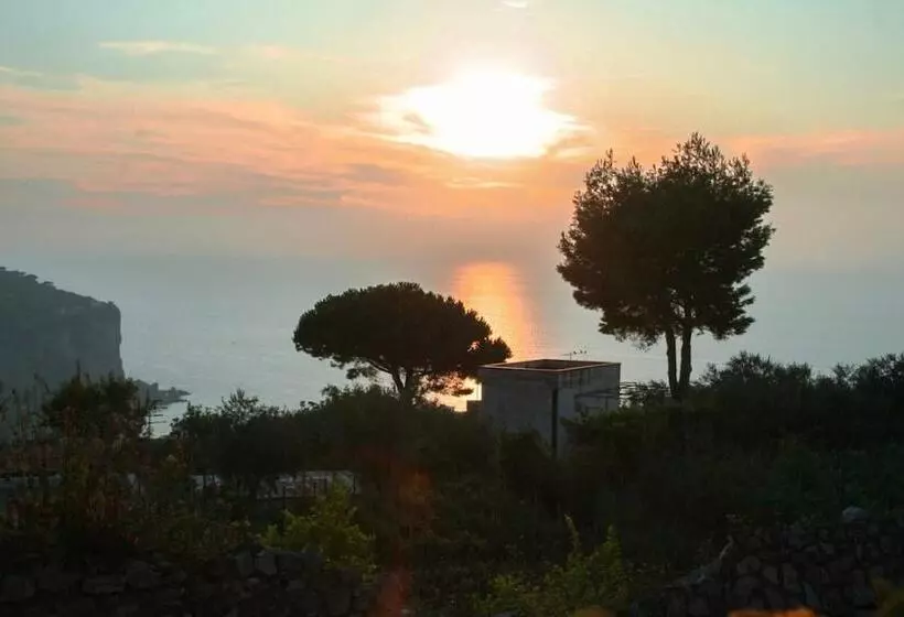 Aamiaismajoitus (B&B) Villa Prota