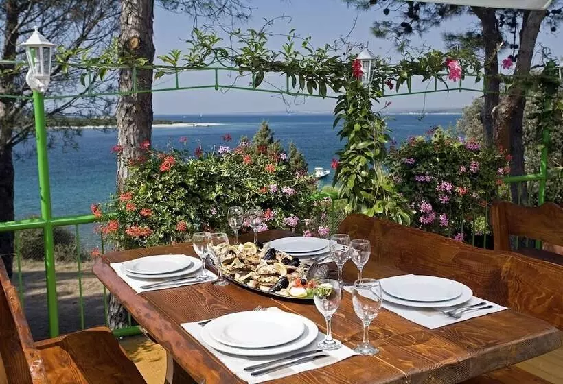 ホテル Camping Adria Mobile Homes In Brioni