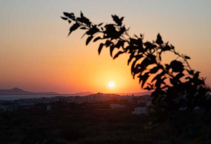 فندق Villa Flora