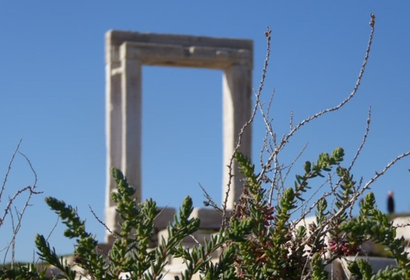 فندق Villa Flora